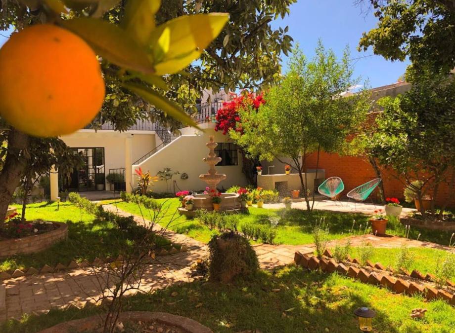 Casa Matia Bed And Breakfast Σαν Μιγκέλ ντε Αγιέντε Εξωτερικό φωτογραφία