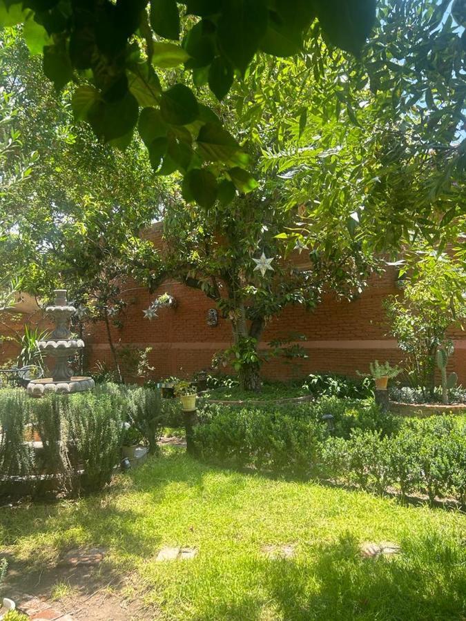 Casa Matia Bed And Breakfast Σαν Μιγκέλ ντε Αγιέντε Εξωτερικό φωτογραφία