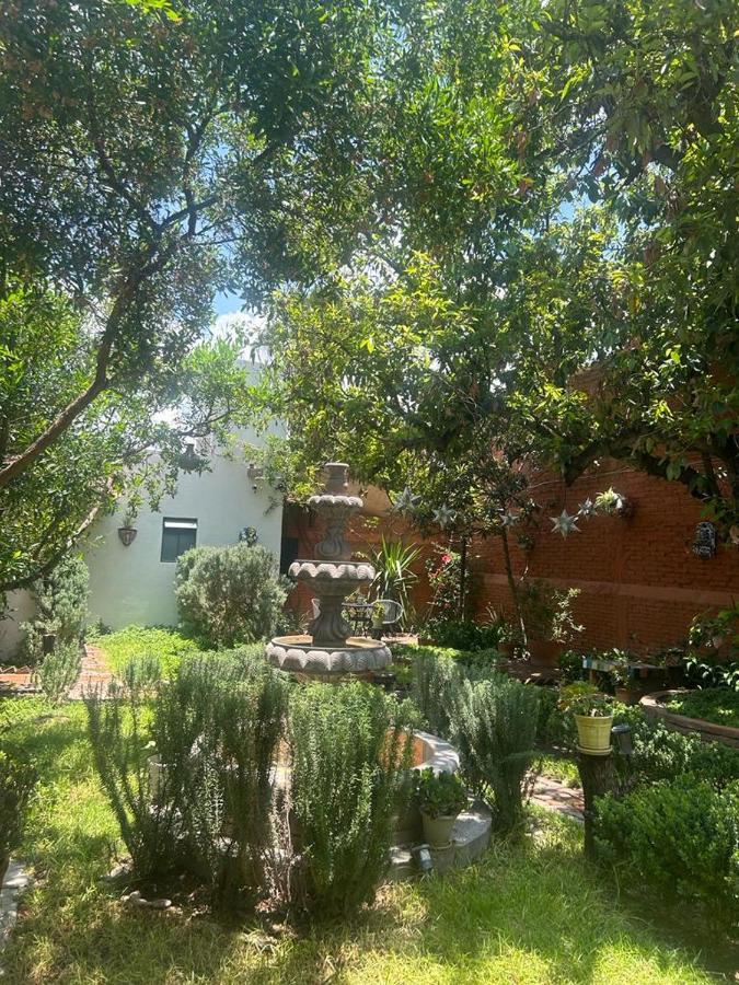 Casa Matia Bed And Breakfast Σαν Μιγκέλ ντε Αγιέντε Εξωτερικό φωτογραφία