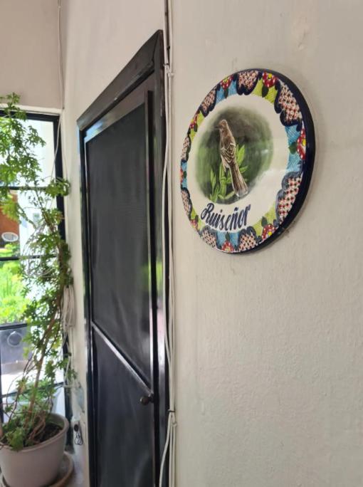 Casa Matia Bed And Breakfast Σαν Μιγκέλ ντε Αγιέντε Εξωτερικό φωτογραφία