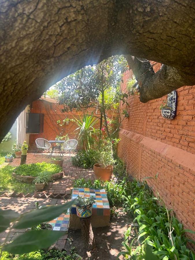 Casa Matia Bed And Breakfast Σαν Μιγκέλ ντε Αγιέντε Εξωτερικό φωτογραφία