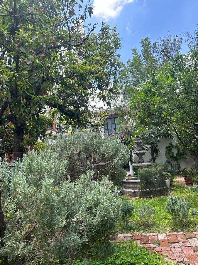Casa Matia Bed And Breakfast Σαν Μιγκέλ ντε Αγιέντε Εξωτερικό φωτογραφία